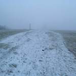 Gestern Mittag hat der Schneefall begonnen