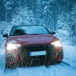 Img-0278-edit