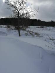 Img-20220120