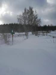 Img-20220120