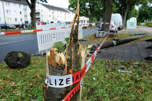 Der Wagen kollidierte mit einen Baum und prallte anschließend an einen Betonpfeiler