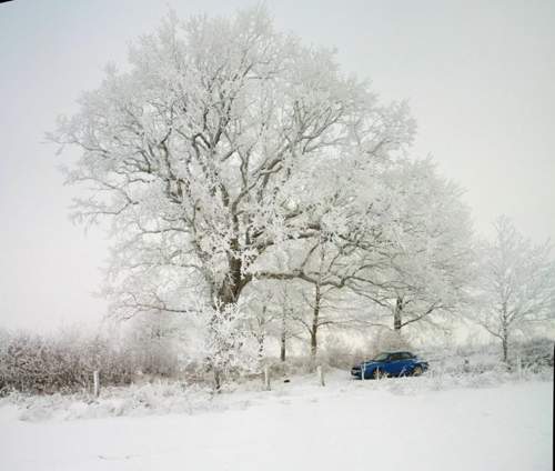 Schnee Subaru 2010