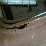 Img-6375