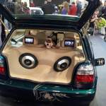 Essen Motor Show 2013