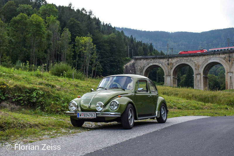 Eure schönsten Käfer-Fotos