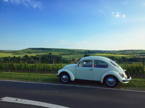 Rheinhessen
