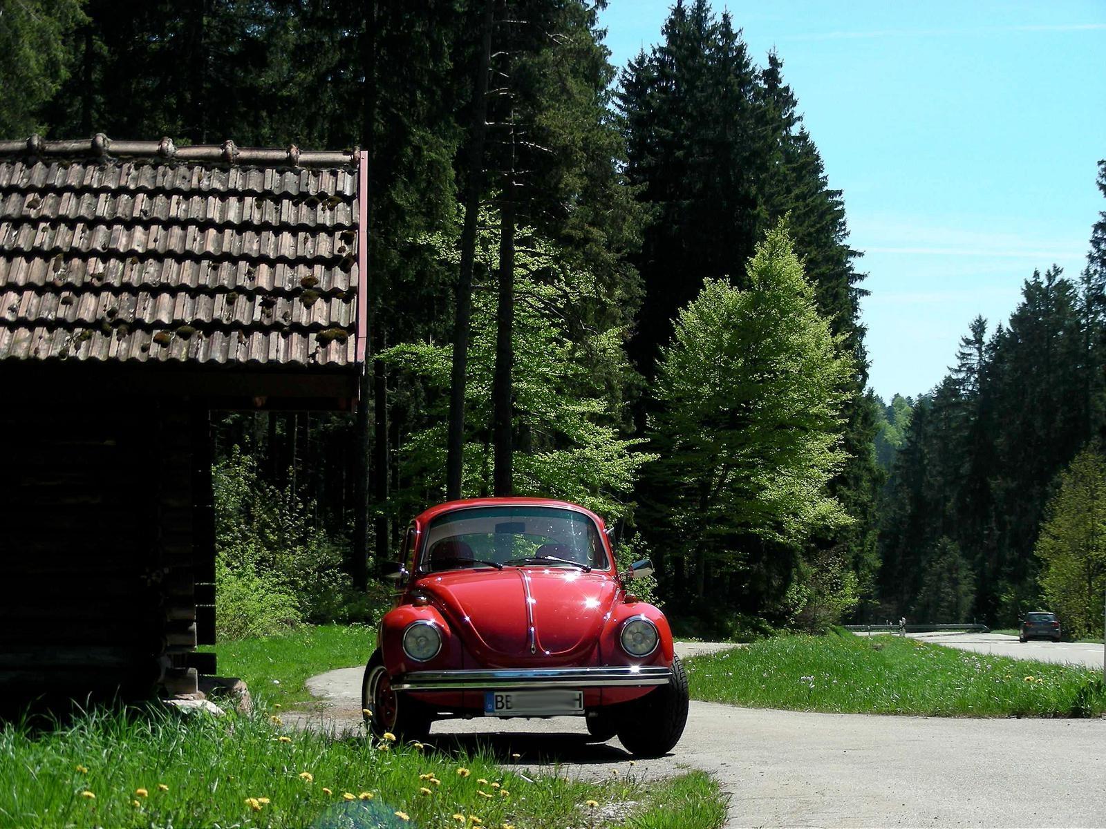 Eure schönsten Käfer-Fotos