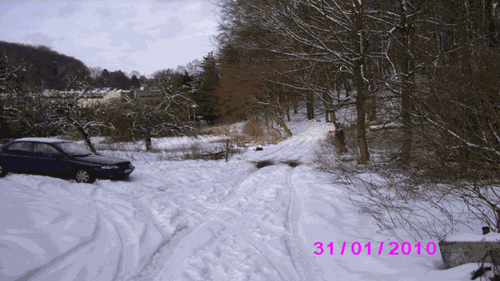 Img-2779