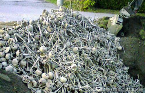 Knochen
