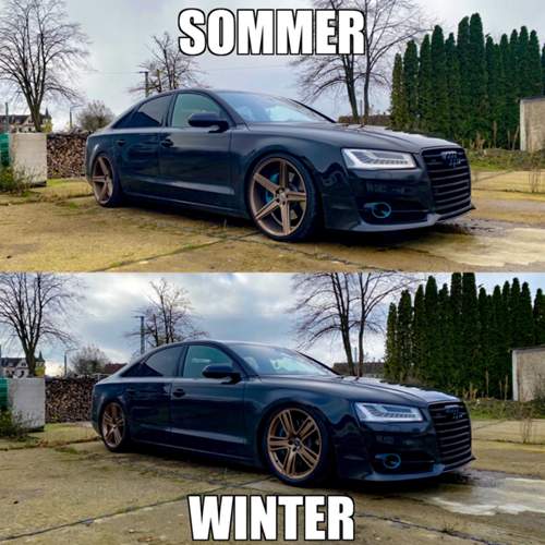 Asset.JPG