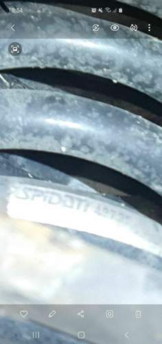 CLK W208 Feder vorne Links