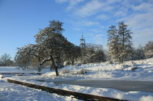 Img-5190