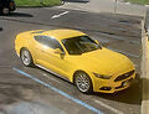 California Yellow.. loves the sun