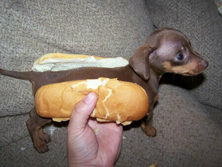 Fast Food - Gourmets unter euch?