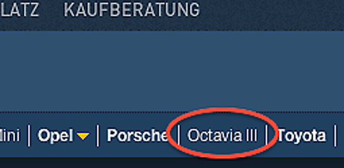 Mt-bug
