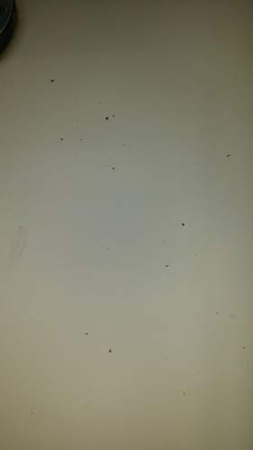 20160314-185127