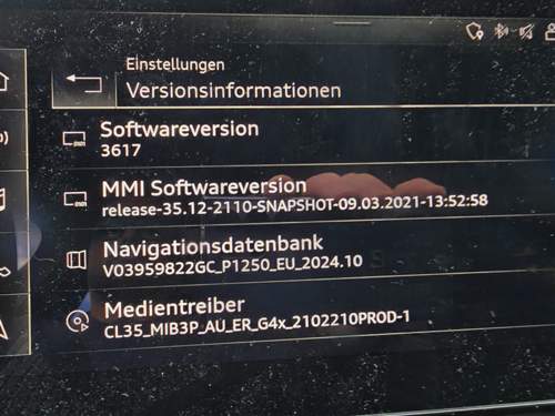 1000113294