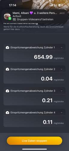 Beim freilauf.jpg
