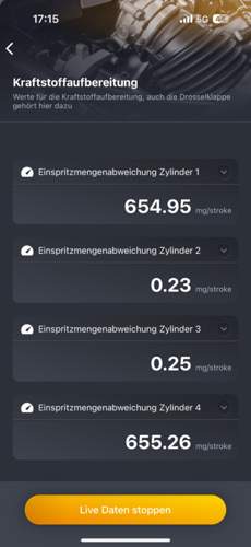 Bei 2500 Umdrehungen.jpg
