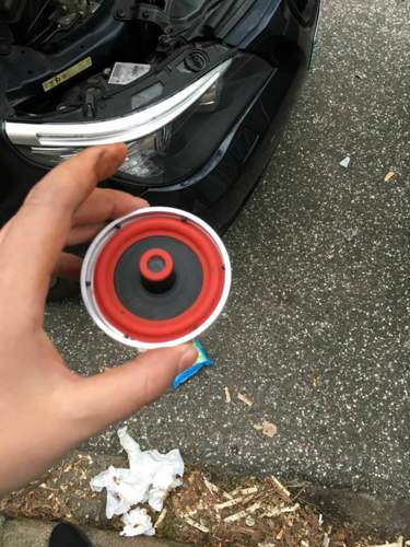 Asset.JPG