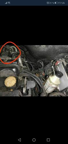 IMG_2020-01-13_17-27-28.jpeg