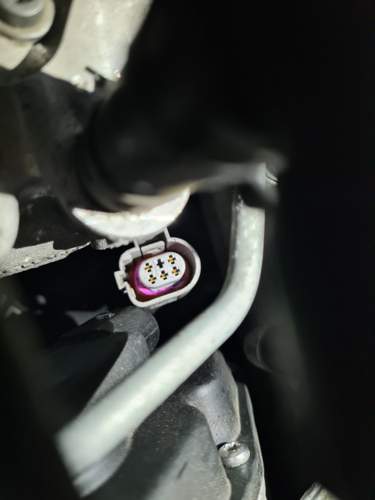 Buchse am Kabel
