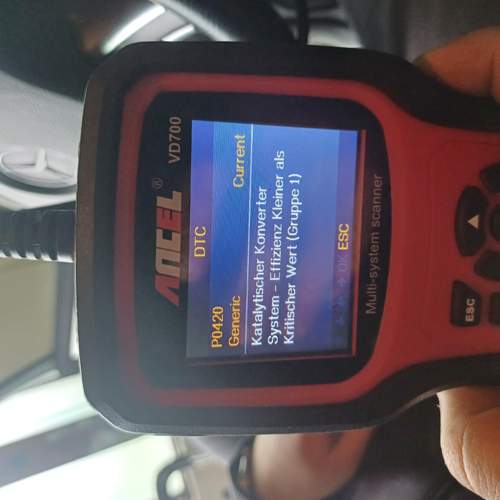 IMG_2025-02-25_09-55-00.jpeg