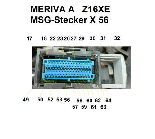 PINs MSG-STECKER X 56
