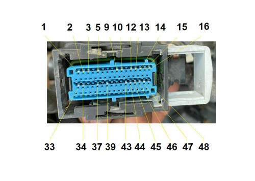 PINs MSG-Stecker X 56