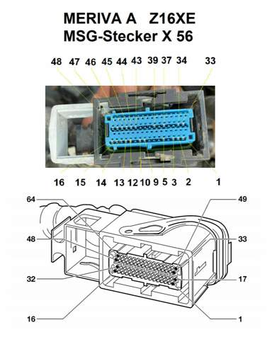 MSG-Stecker X 56