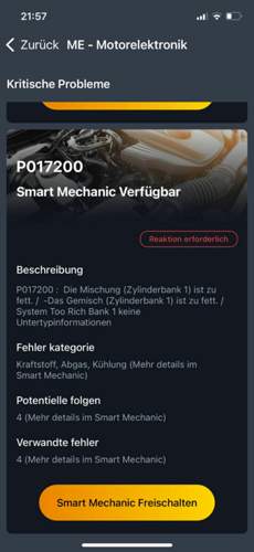 Das ist die Neue.jpg