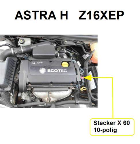 Z16XEP Stecker X 60