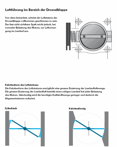 Bild-1