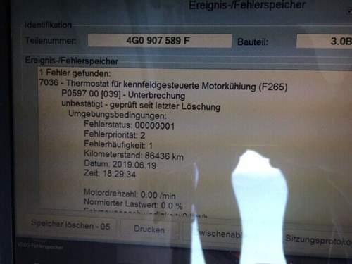 Img-1597