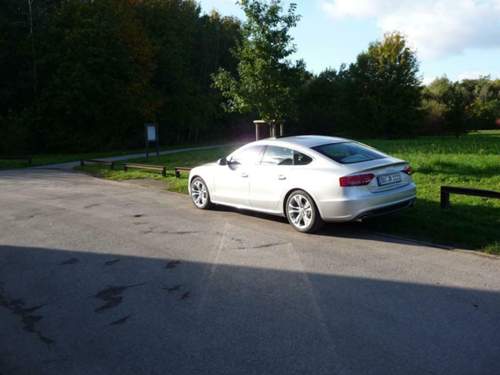 Bild-1