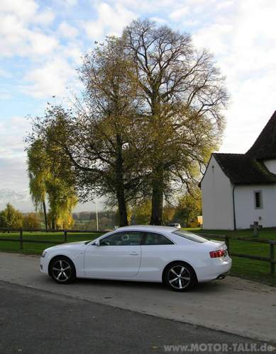 Bild-1