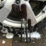 Alle Wheel Woolies zusammen