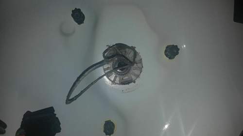 20180529_155236.jpg