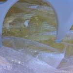 Img-0031