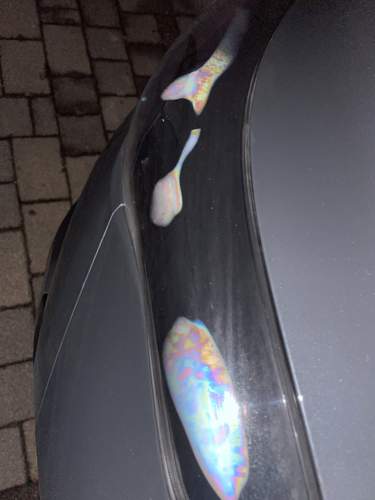 Feuchtigkeit?