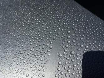 Motorhaube