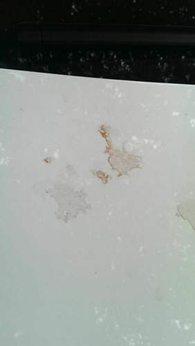 Imag0559