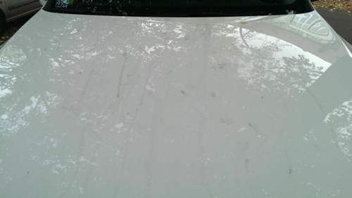 Imag0560