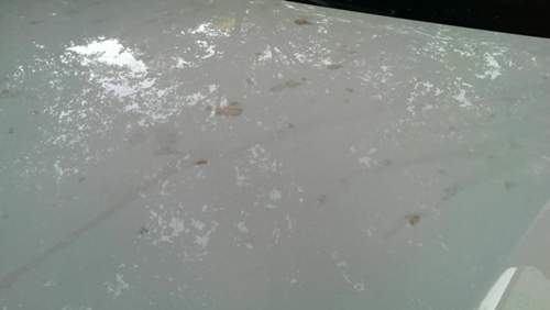 Imag0561