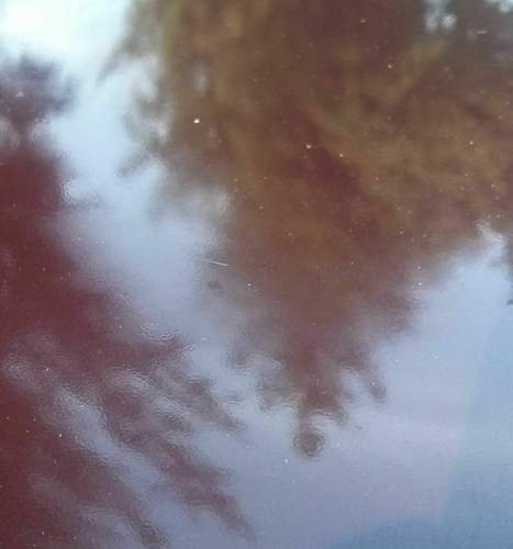 Img-20170325-192036