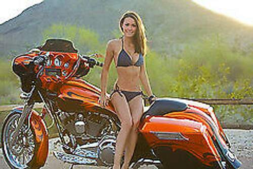 Bagger1