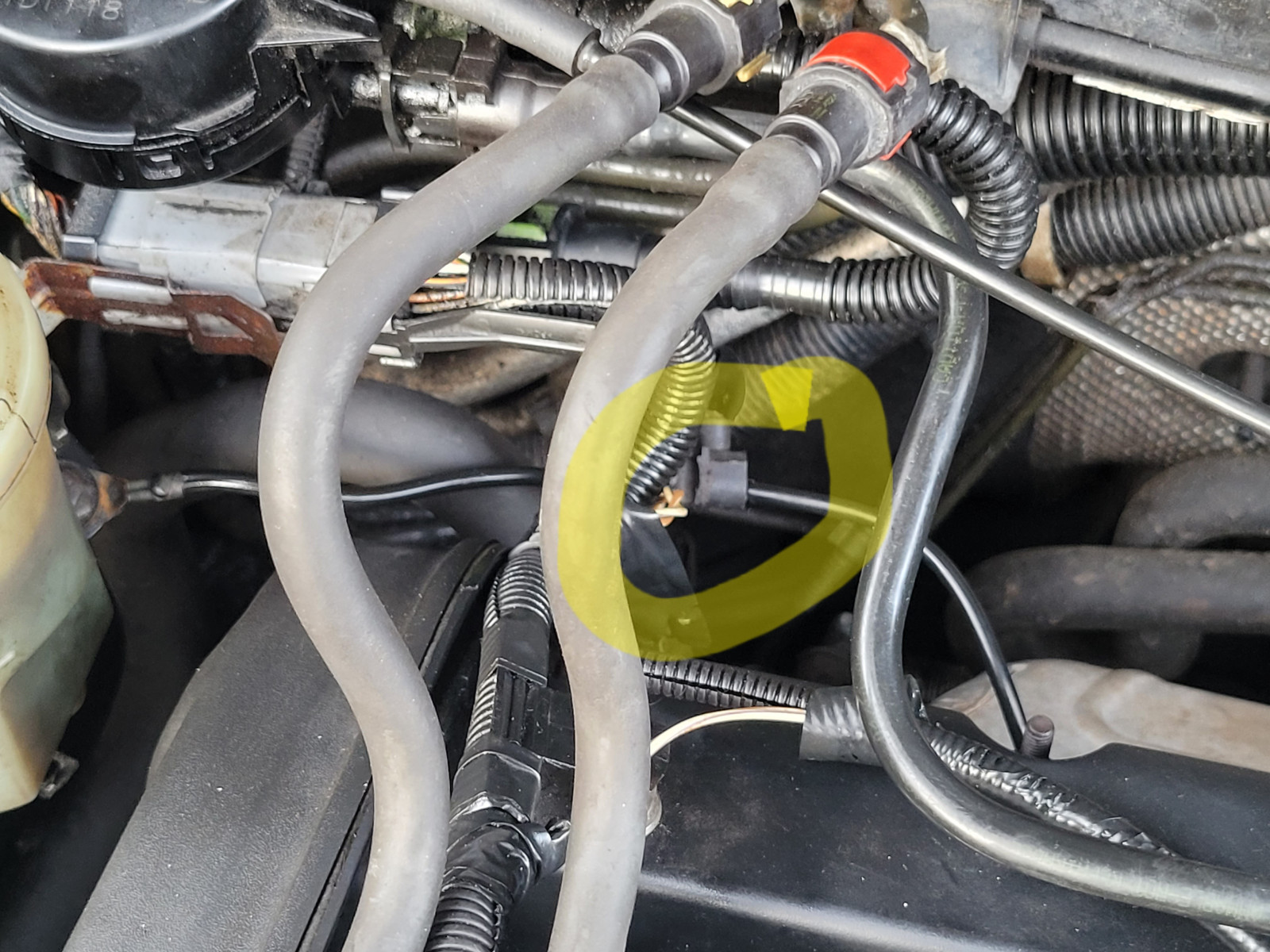 Focus MK1 Neu im Forum
