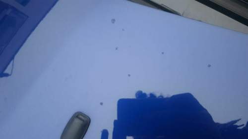 20161217_155642.jpg