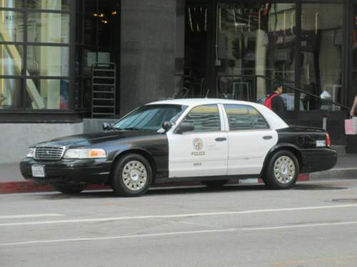 46371536951_ef16e9c8c9_b.jpg