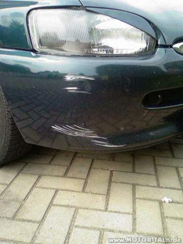 Photo-3